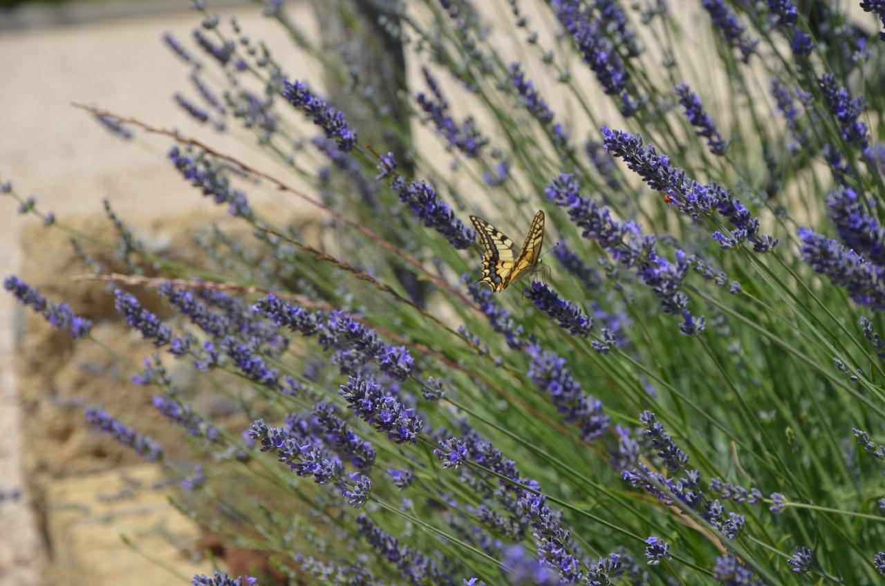 Farnese Il Podere Di Marfisa מראה חיצוני תמונה